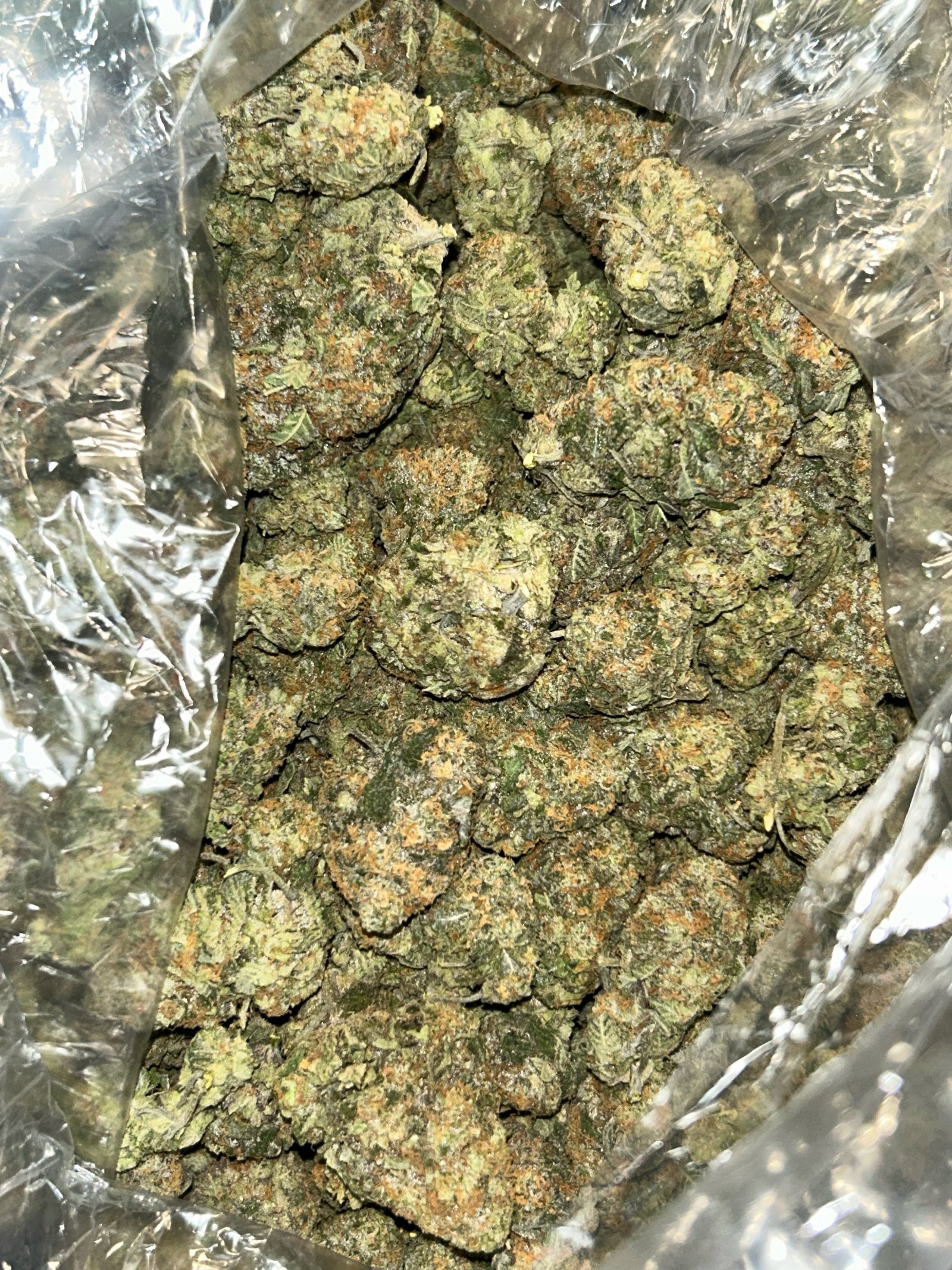 Overhead close-up looking into a bag densely packed with cured, hand-trimmed flower — orange pistils and trichome frost